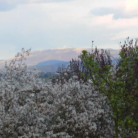 Premium Ferienloft Dressler